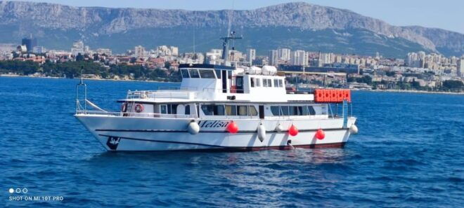 SUNSET DOLPHIN WATCHING BOAT TOUR - Booking Process