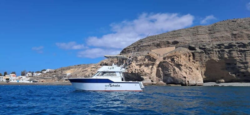 Sunset Dolphin Watching Tour on Hybrid Boat in Small Group - Sunset Dolphin Watching Tour on Hybrid Boat in Small Group