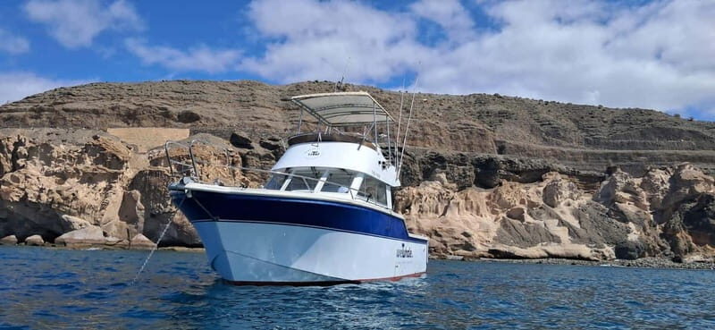 Sunset Dolphin Watching Tour on Hybrid Boat in Small Group - FAQ