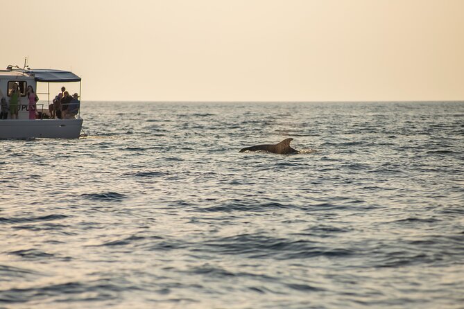 Sunset & Dolphins Private Boat Tour Around Brijuni Islands - Directions