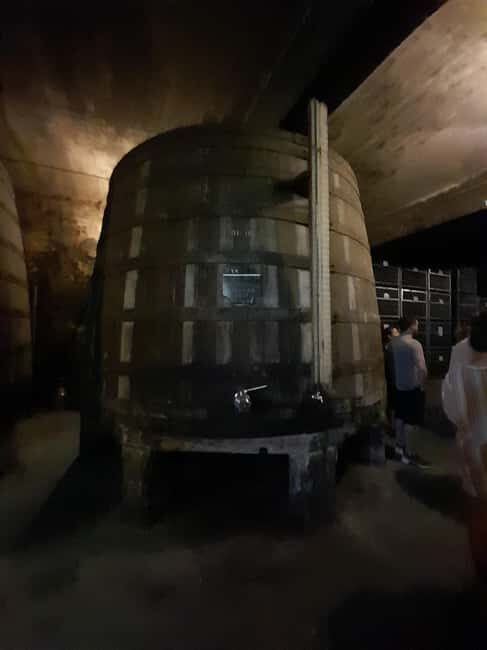 Sunset Douro melhor experiência vinho e comida Portuguesa - Sunset Douro: Melhor Experiência de Vinho e Comida Portuguesa