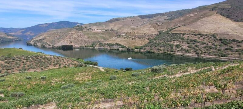 Sunset Douro melhor experiência vinho e comida Portuguesa - Final Thoughts