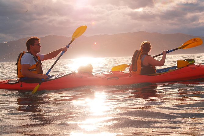 Sunset Evening Kayaking Tour - Kaikoura - Tour Details