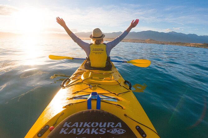 Sunset Evening Kayaking Tour - Kaikoura - Inclusions