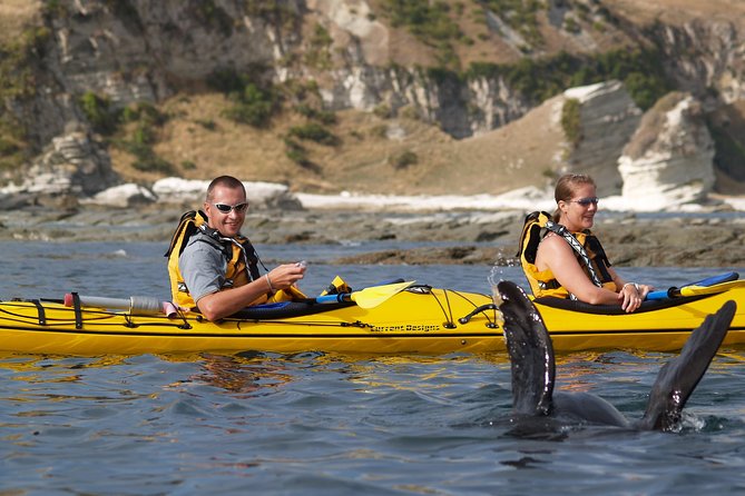 Sunset Evening Kayaking Tour - Kaikoura - Safety Precautions