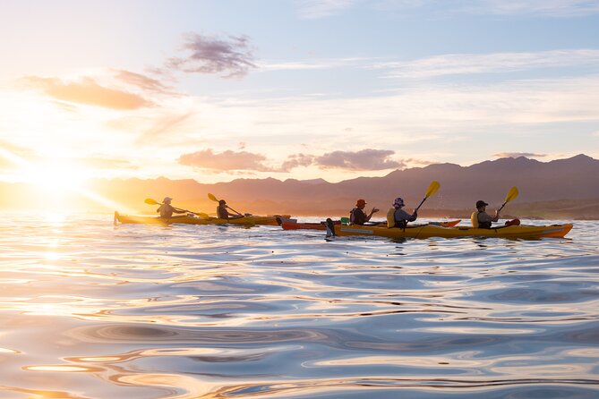 Sunset Evening Kayaking Tour - Kaikoura - Booking and Availability