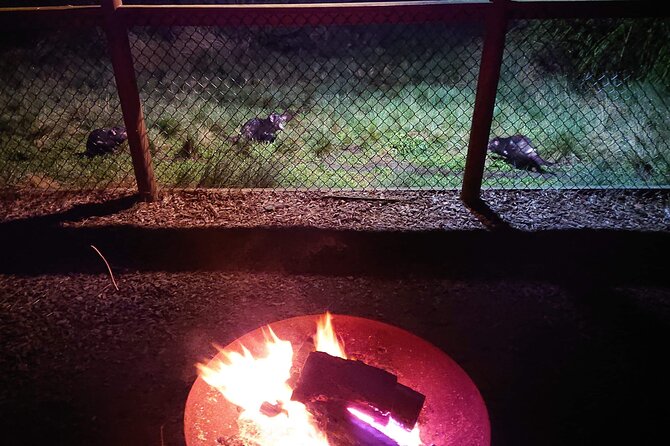 Sunset Experience  - Cradle Mountain-Lake St. Clair National Park - Locally-Sourced Wine and Produce