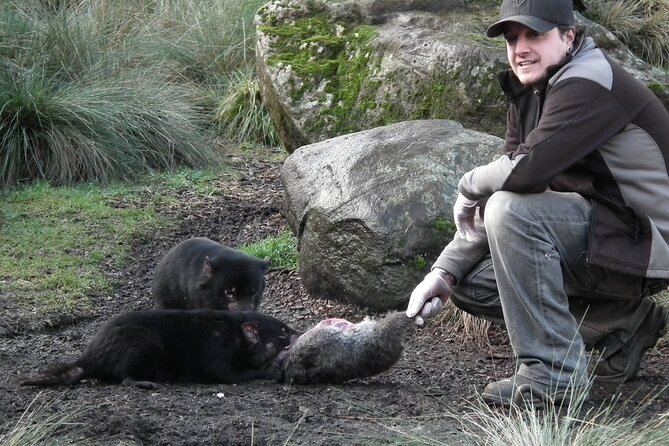 Sunset Experience  - Cradle Mountain-Lake St. Clair National Park - Meeting and Pickup Details