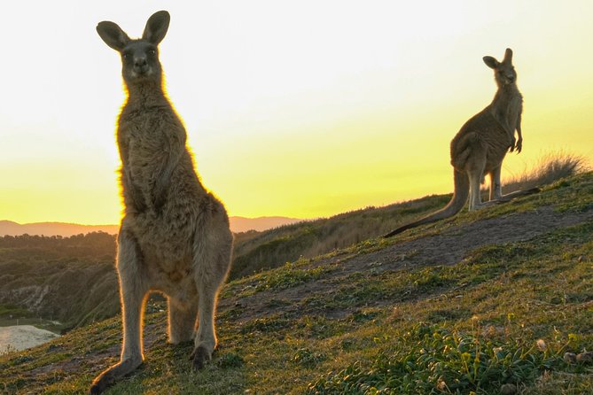 Sunset Experience - Best Locations for Sunset Viewing