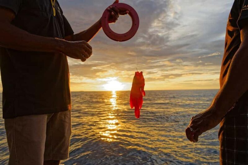 Sunset fishing - What to Expect from the Sunset Fishing Tour