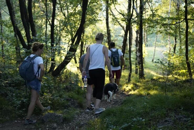 Sunset Hike in Lecco With Craft Beer Tasting - Experience a Sunset Hike in Lecco