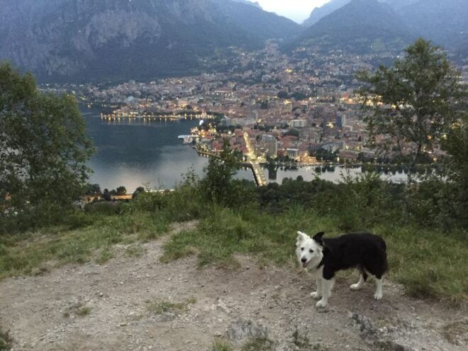 Sunset Hike in Lecco With Craft Beer Tasting - Meeting Point and Guide Information