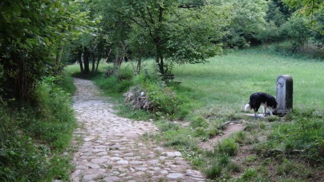 Sunset Hike in Lecco With Craft Beer Tasting - What to Bring for the Adventure
