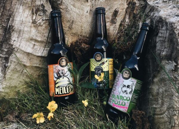 Sunset Hike in Lecco With Craft Beer Tasting - The Sum Up