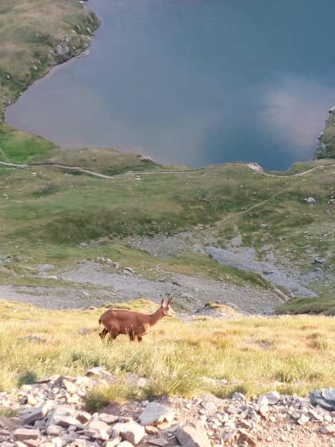 Sunset Hike on Transfgran: Buteanu & Capra glaciary lake - Who Is This Tour Perfect For?