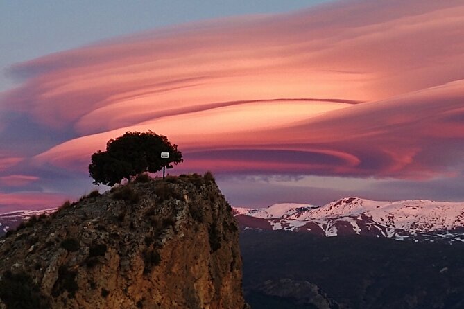 Sunset Hike & Summit Sierra Nevada With Pooch - What to Expect