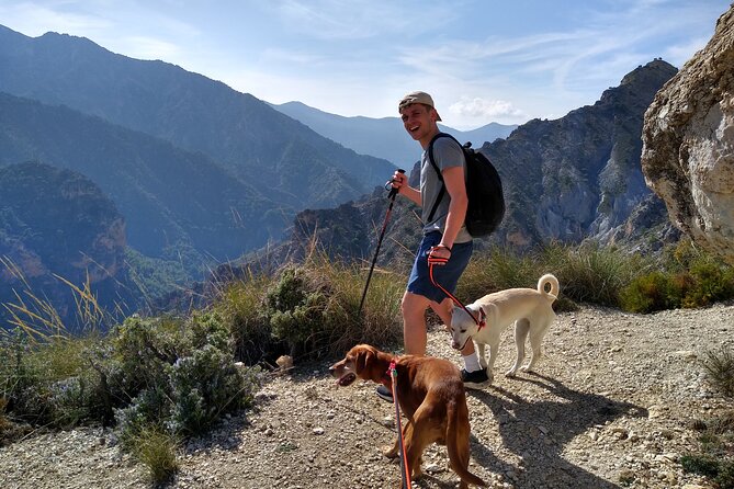Sunset Hike & Summit Sierra Nevada With Pooch - The Sum Up