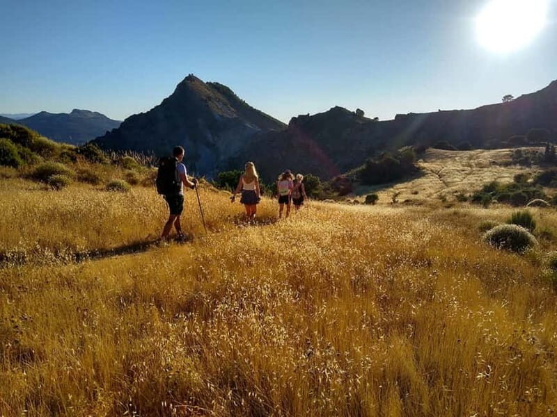 Sunset Hike & Summit Sierra Nevada with pup - A Detailed Look at the Sunset Hike & Summit Sierra Nevada