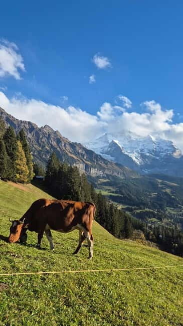 Sunset Hike with Cheese Fondue in Wengen - Why This Tour Is a Great Choice