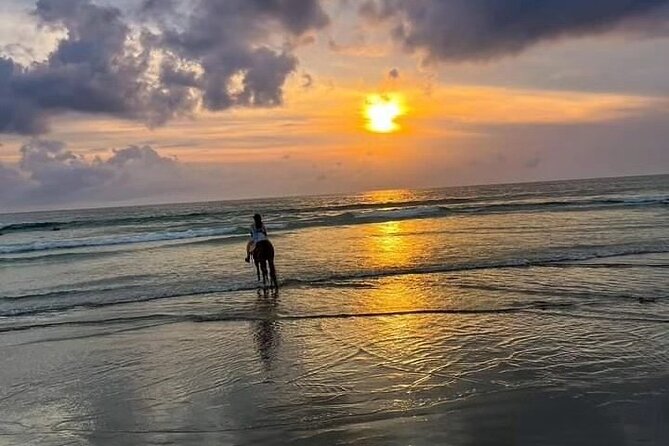 Sunset Horse Riding Seminyak Beach Bali - Horse Riding Experience Overview