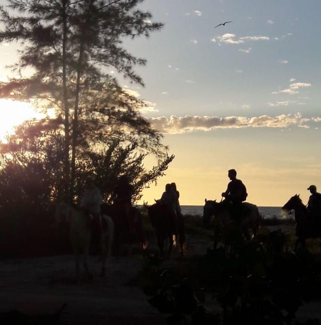 Sunset Horseback Adventure in Holbox - Tour Guide and Language