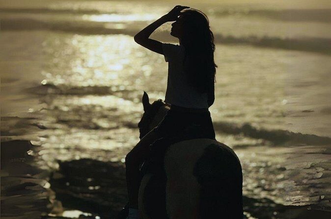Sunset Horseback Ride by the Beach in Aguadilla, Puerto Rico - The Sum Up