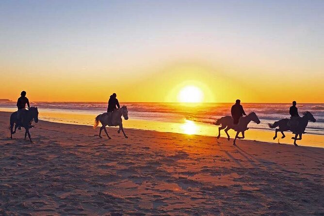 Sunset Horseback Riding in Banana Beach - Good To Know