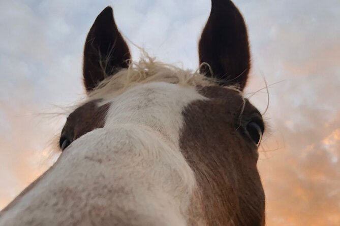 Sunset Horseback Riding in Banana Beach - Directions