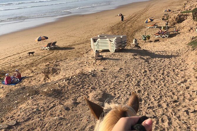 Sunset Horseback Riding in Banana Beach - Booking