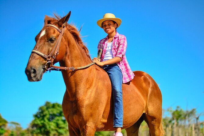Sunset Horseback Riding Tour in Punta Cana (Private Option) - Good To Know