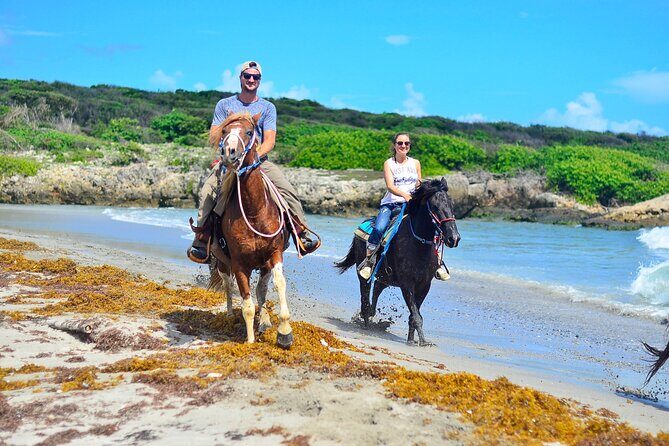 Sunset Horseback Riding Tour in Punta Cana (Private Option) - FAQ