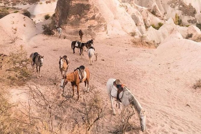 Sunset Horsebackriding Tour Through the Valleys of Cappadocia - Safety Precautions and Requirements