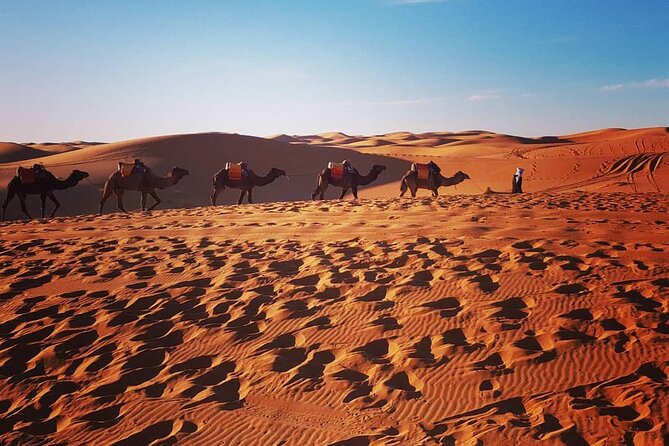 Sunset in Merzouga Sahara Desert & Camel Ride Erg Chebbi Dunes - Highlights