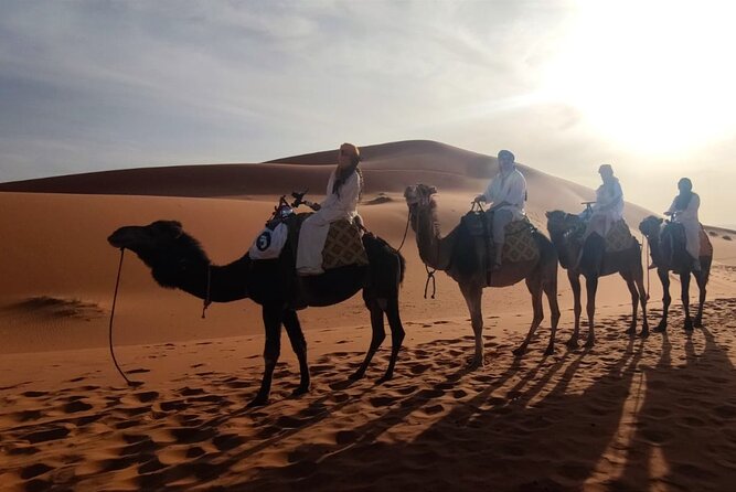 Sunset in Merzouga Sahara Desert & Camel Ride Erg Chebbi Dunes - Contact Information