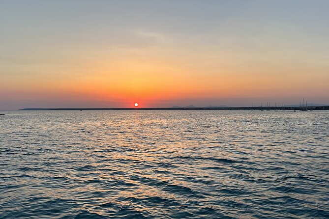 Sunset in Palma Luxury Catamaran Max 12 Pax Sail Free Champagne! - Additional Important Information