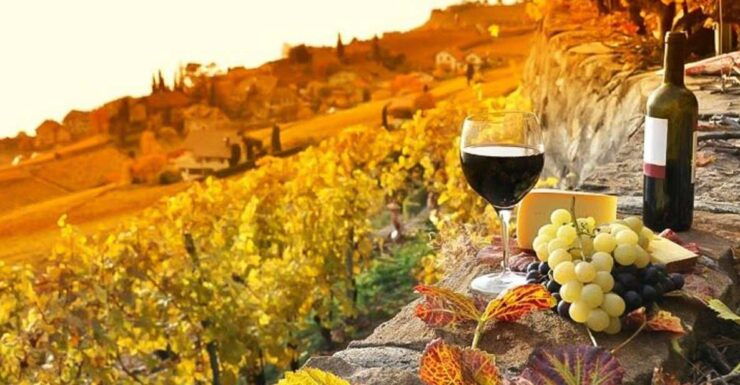 Sunset in Siena & Dinner in Chianti Tour From Florence - Good To Know