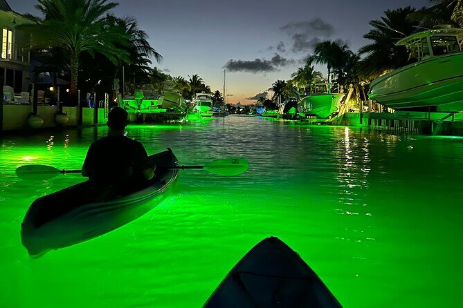 Sunset Kayak Adventure with Enchanting Underwater Lights - Why This Tour Offers Great Value