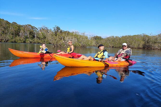 Sunset Kayak Eco Tour With Marine Scientist - Tour Overview