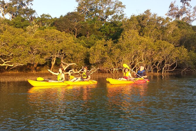 Sunset Kayak Eco Tour With Marine Scientist - Cancellation Policy