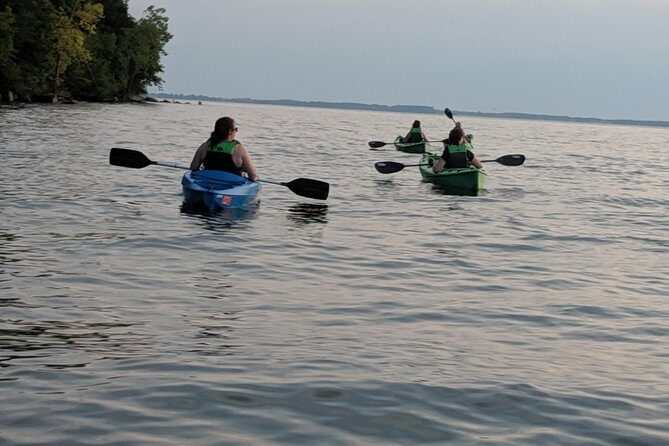Sunset Kayak Tour - What You Can Expect: The Experience in Detail