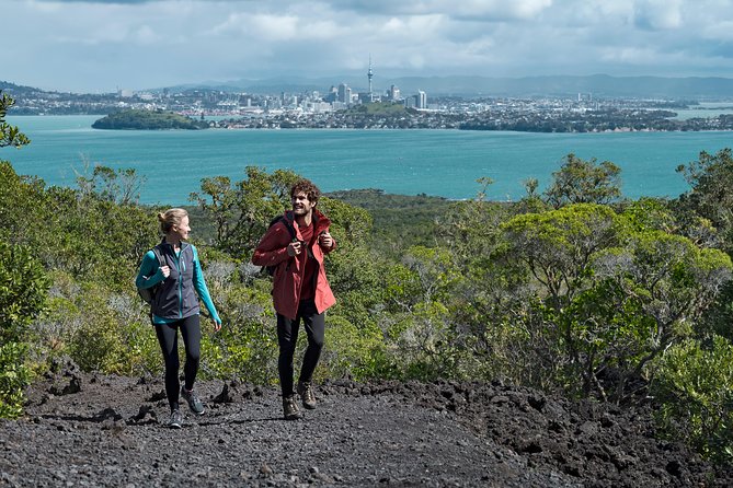 Sunset Kayak Tour to Rangitoto Island - Cancellation Policy