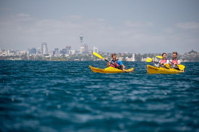 Sunset Kayak Tour to Rangitoto Island - The Sum Up