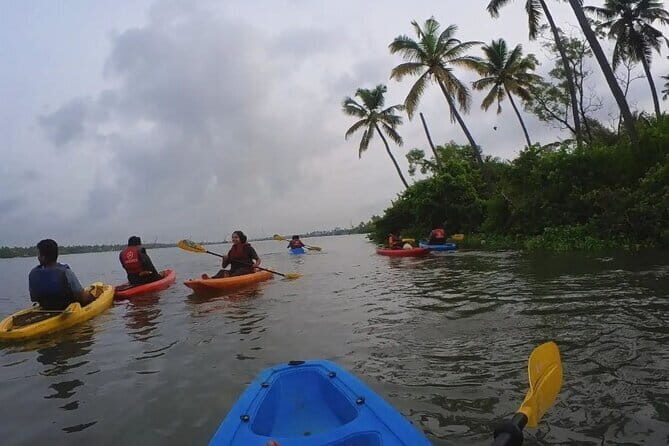Sunset Kayaking in Hidden Alleppey Backwater Routes - An In-Depth Look at the Tour Experience