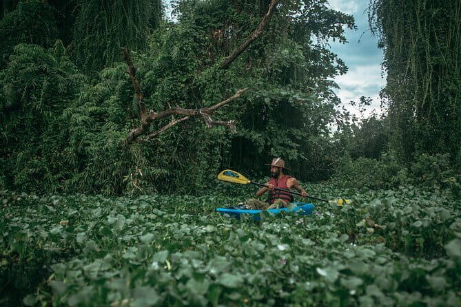 Sunset Kayaking in Hidden Alleppey Backwater Routes - The Experience: What Makes It Special?