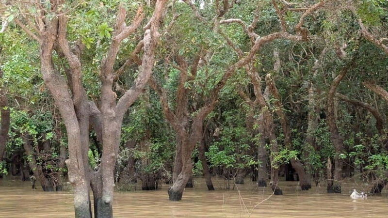 Sunset Kompong Pluk Floating Village - Good To Know