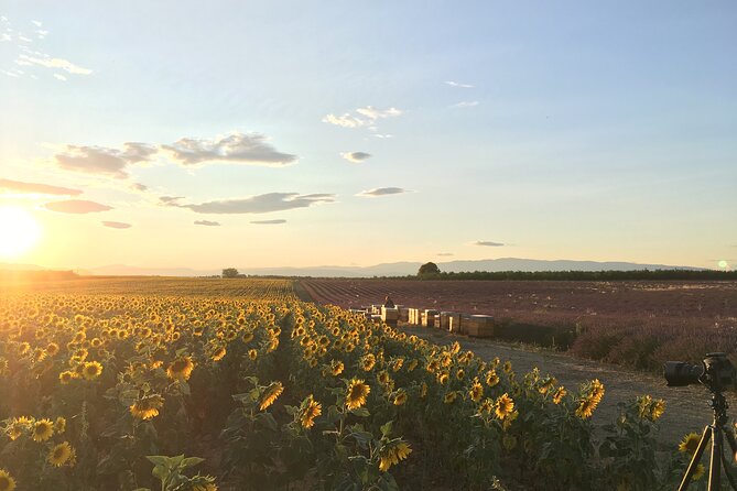 Sunset Lavender Tour From Aix-En-Provence - Reviews