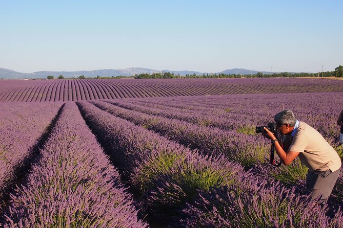 Sunset Lavender Tour in Valensole With Pickup From Marseille - Tour Guide