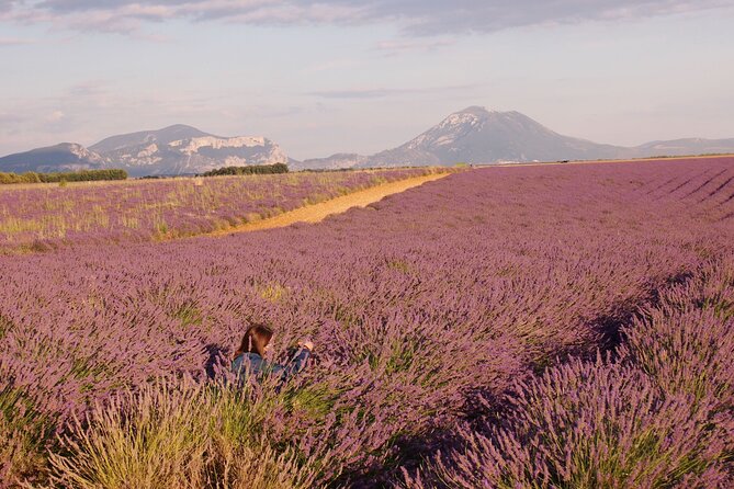 Sunset Lavender Tour in Valensole With Pickup From Marseille - Common Questions