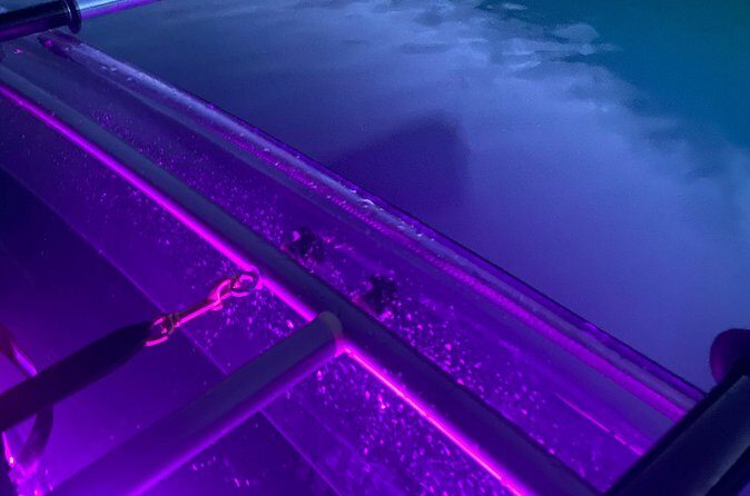 Sunset LED Clear Kayak Rentals for Glacier Park - The Sum Up: Is It Worth It?