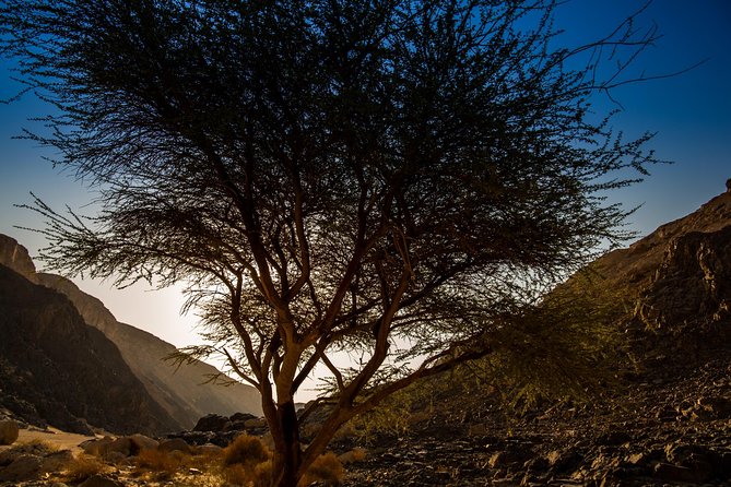 Sunset Luxury Experience to Dry Canyon Wadi Belli - Cultural Immersion With Bedouin Family